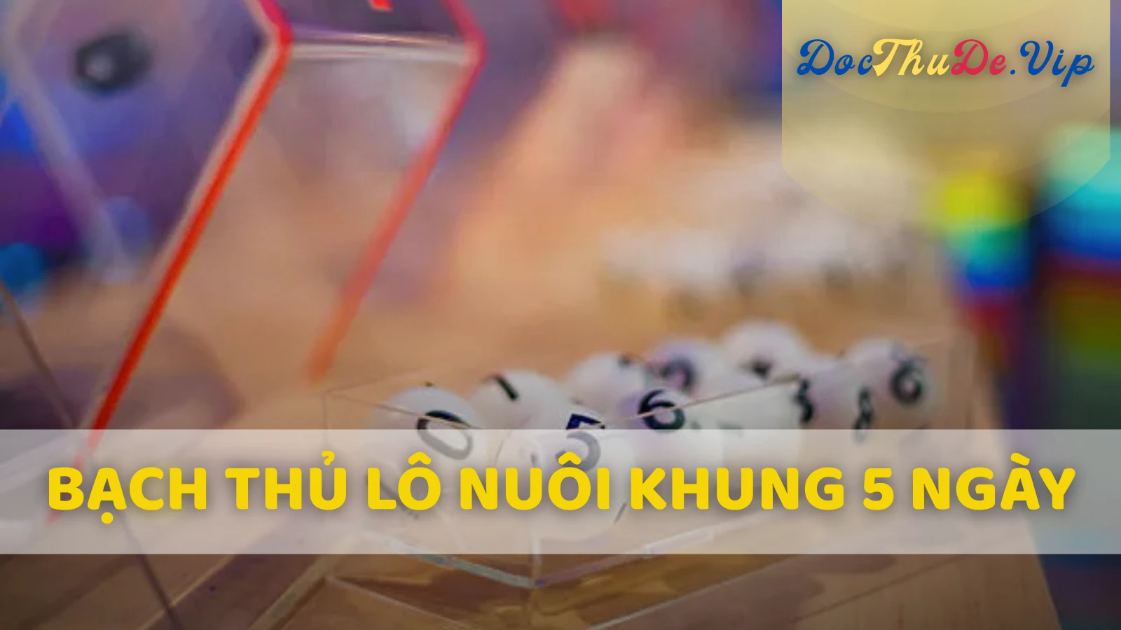 Tổng quan về hình thức nuôi bạch thủ lô khung 5 ngày Tổng quan về hình thức nuôi bạch thủ lô khung 5 ngày