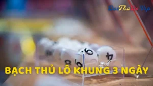 Cách Phân Bổ Vốn Khi Nuôi Bạch Thủ Lô Khung 3 Ngày