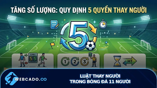 Học Kiến Thức Bóng Đá