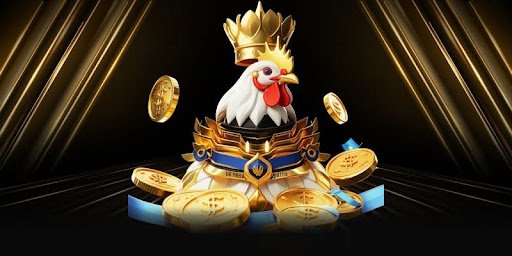 Đá gà là gì? Tìm hiểu khái niệm