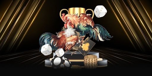 Kinh nghiệm và chiến lược khi tham gia cá độ đá gà Vswin