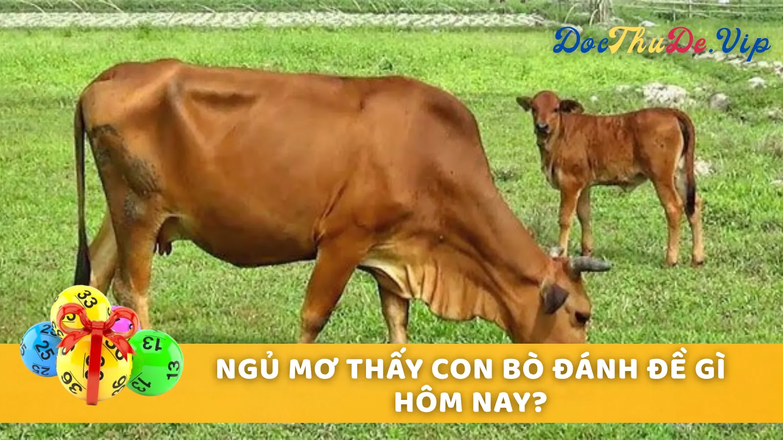 Các Tình Huống Mơ Thấy Con Bò Thường Gặp