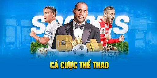 Mẹo cá cược hiệu quả cho người mới năm 2026